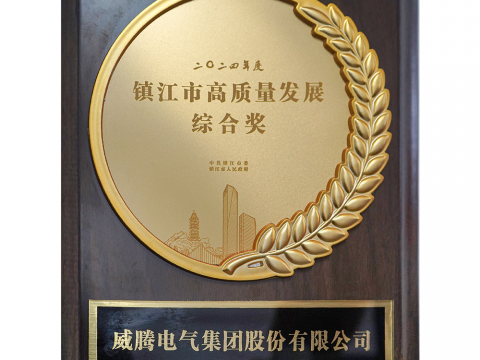 喜讯│J9集团国际站荣获2024年度宜昌市高质量发展综合奖