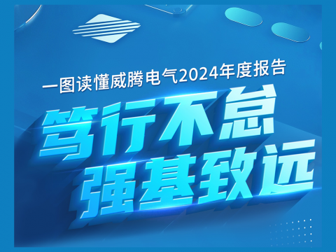 一图读懂J9集团国际站电气2024年度汇报